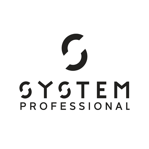 Logo Partner System Professional
