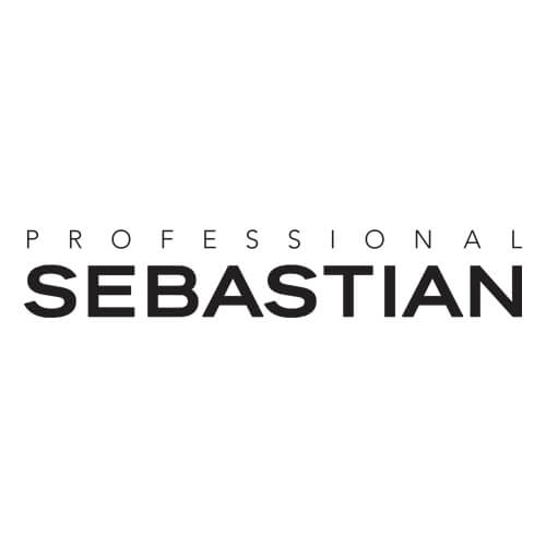 Logo Partner Professional Sebastian